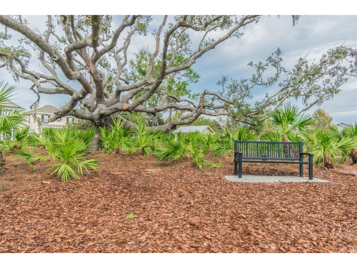 3016 Alachua Place New Port Richey FL 34655 W7879743 image44