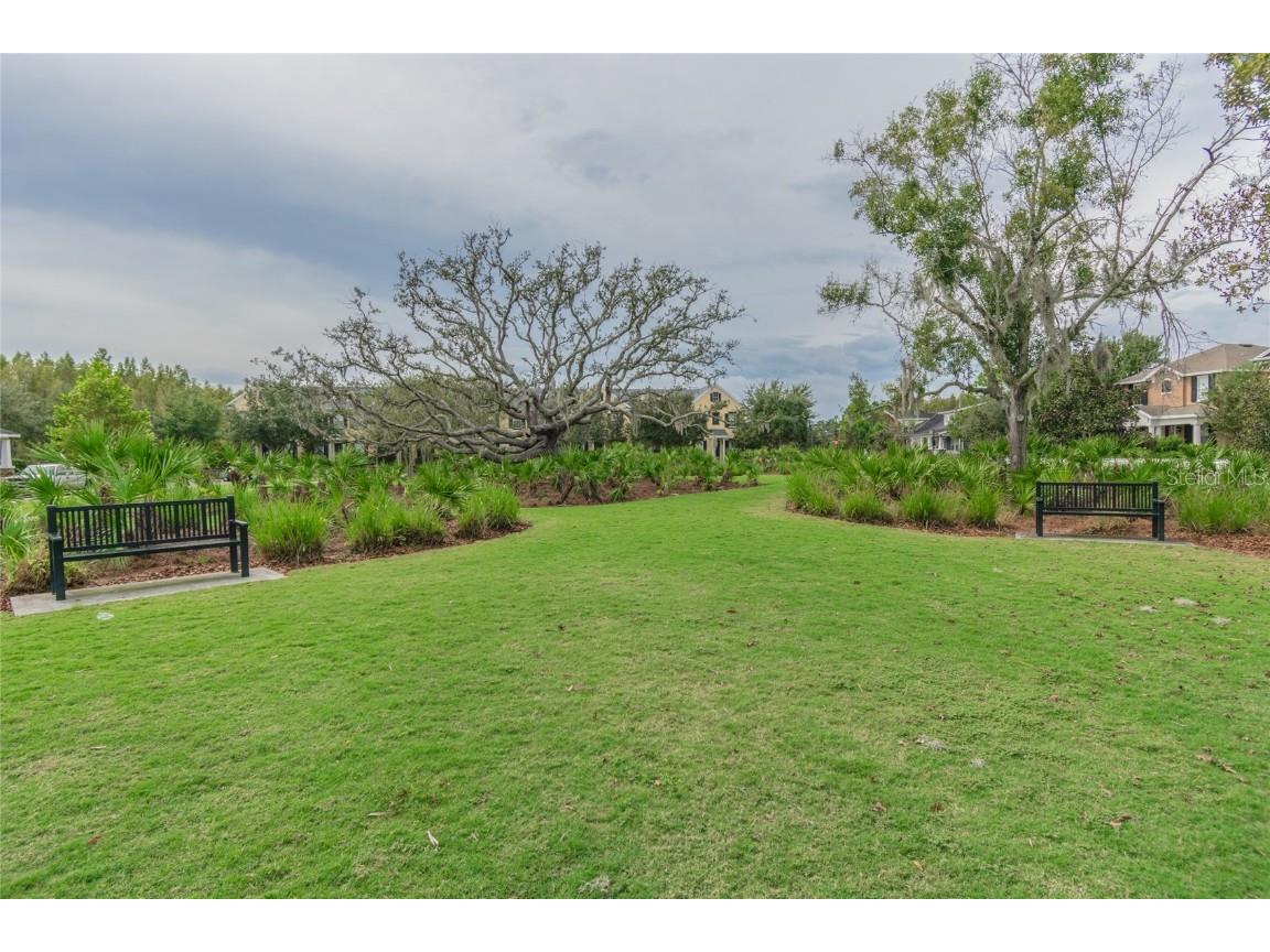 3016 Alachua Place New Port Richey FL 34655 W7879743 image45