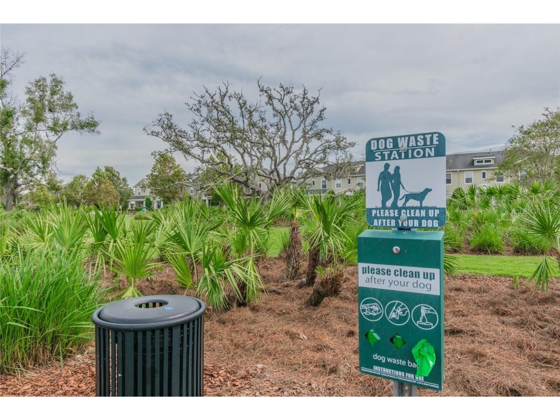 3016 Alachua Place New Port Richey FL 34655 W7879743 image46