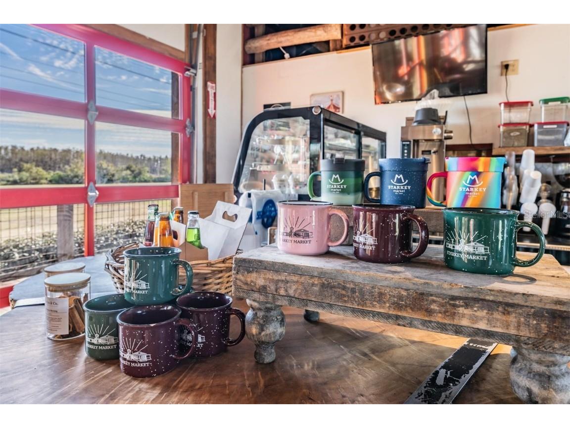 3016 Alachua Place New Port Richey FL 34655 W7879743 image57