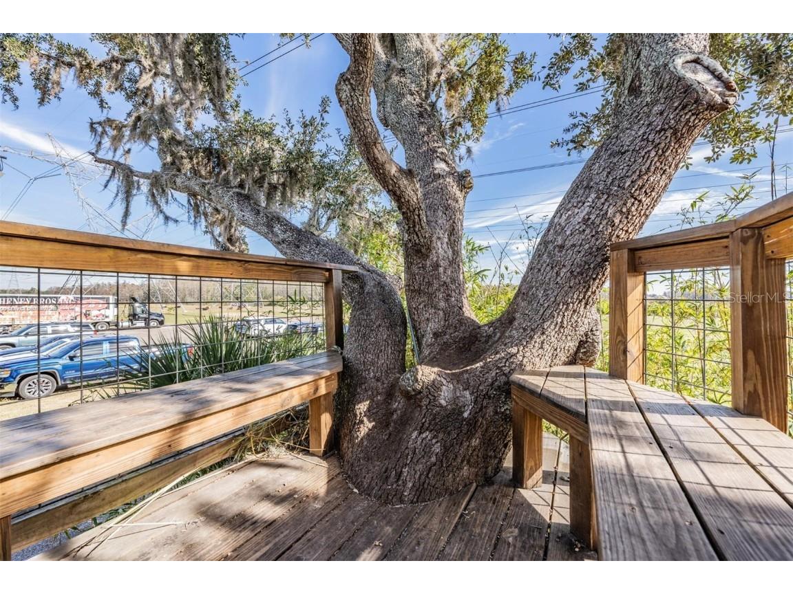 3016 Alachua Place New Port Richey FL 34655 W7879743 image59