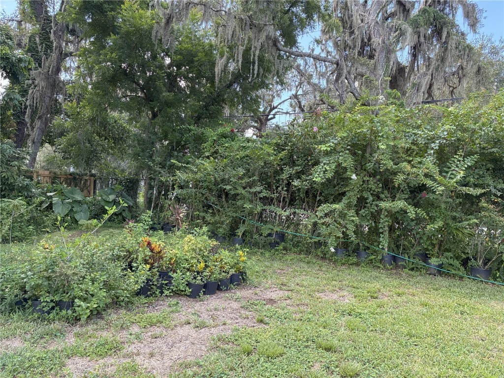 3016 Bloomingdale Avenue Valrico FL 33596 TB8412167 image14