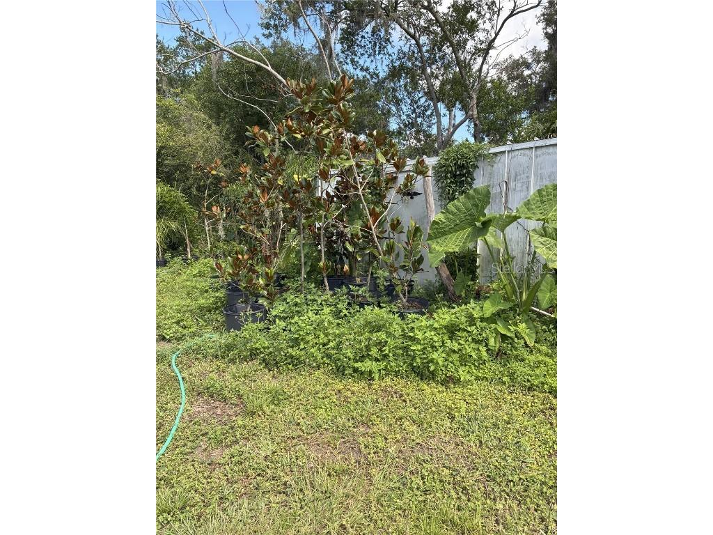 3016 Bloomingdale Avenue Valrico FL 33596 TB8412167 image15