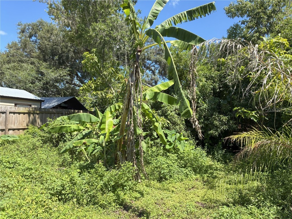 3016 Bloomingdale Avenue Valrico FL 33596 TB8412167 image23