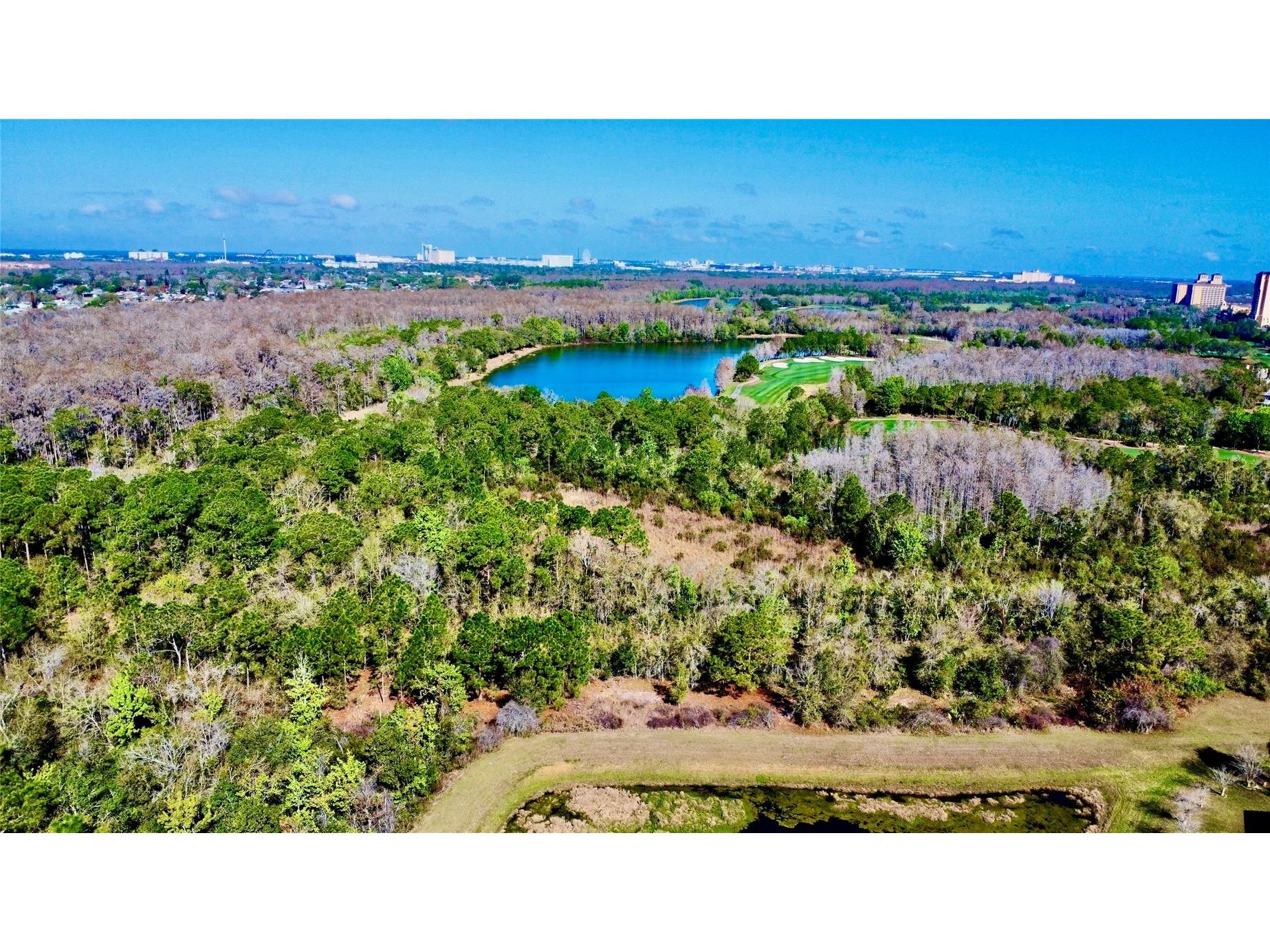 3016 Crystal Creek Boulevard Orlando FL 32837 O6386695 image23