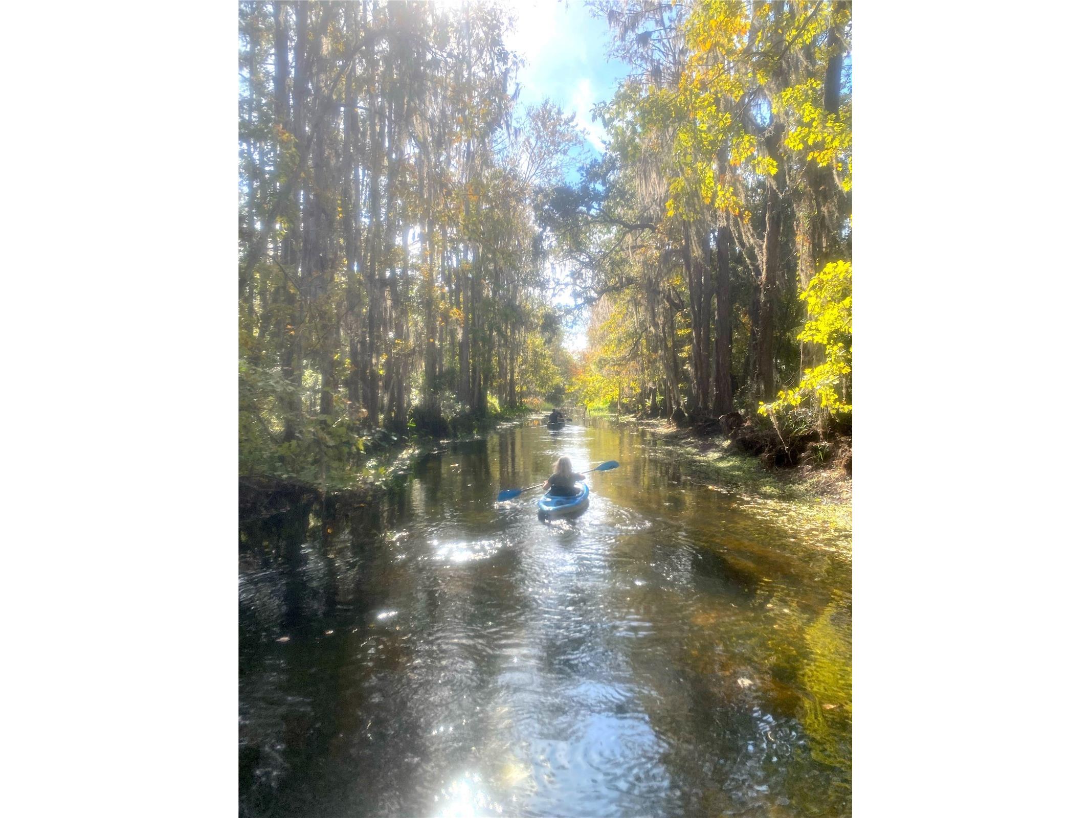 3016 Crystal Creek Boulevard Orlando FL 32837 O6386695 image24