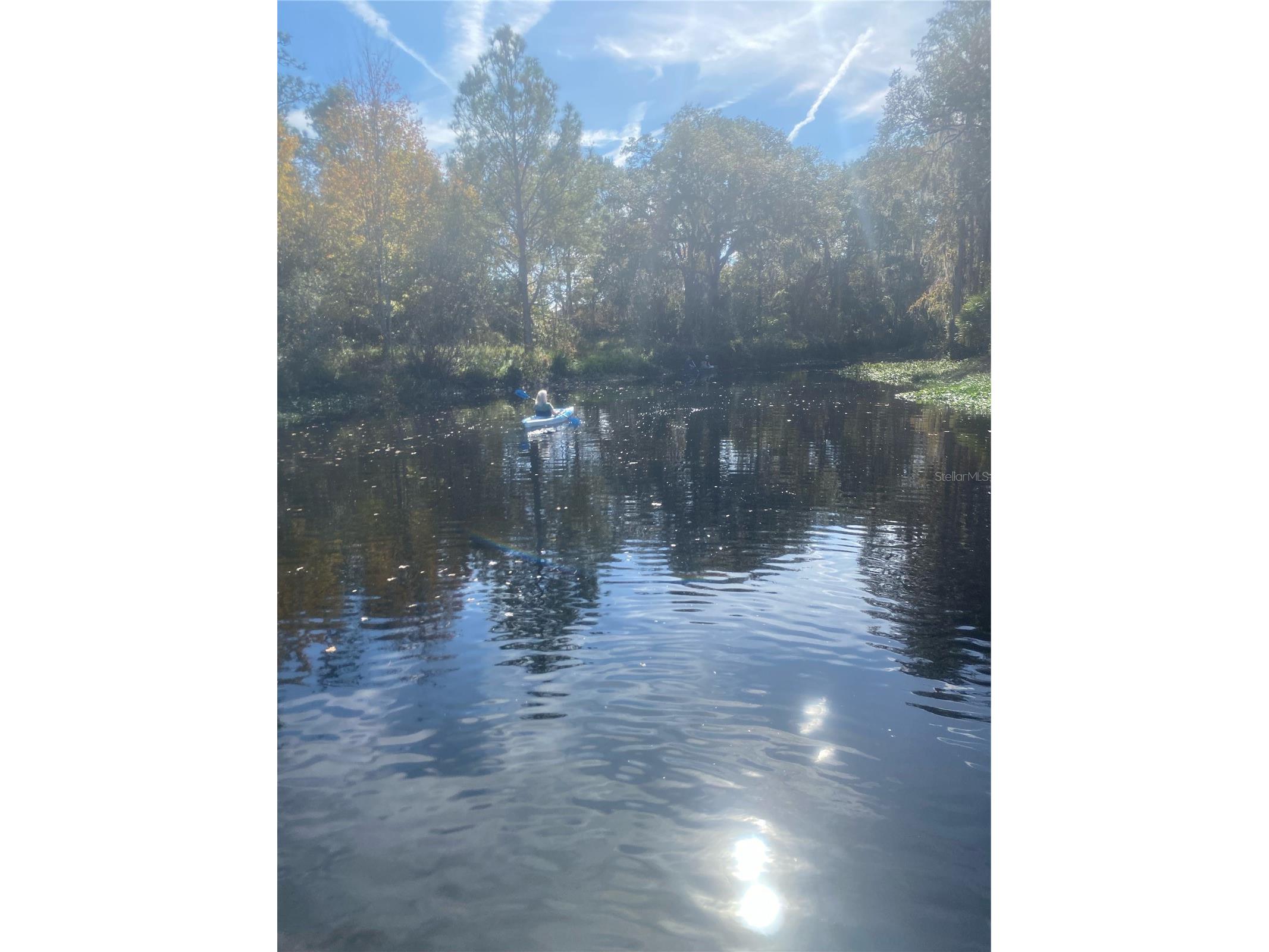 3016 Crystal Creek Boulevard Orlando FL 32837 O6386695 image44