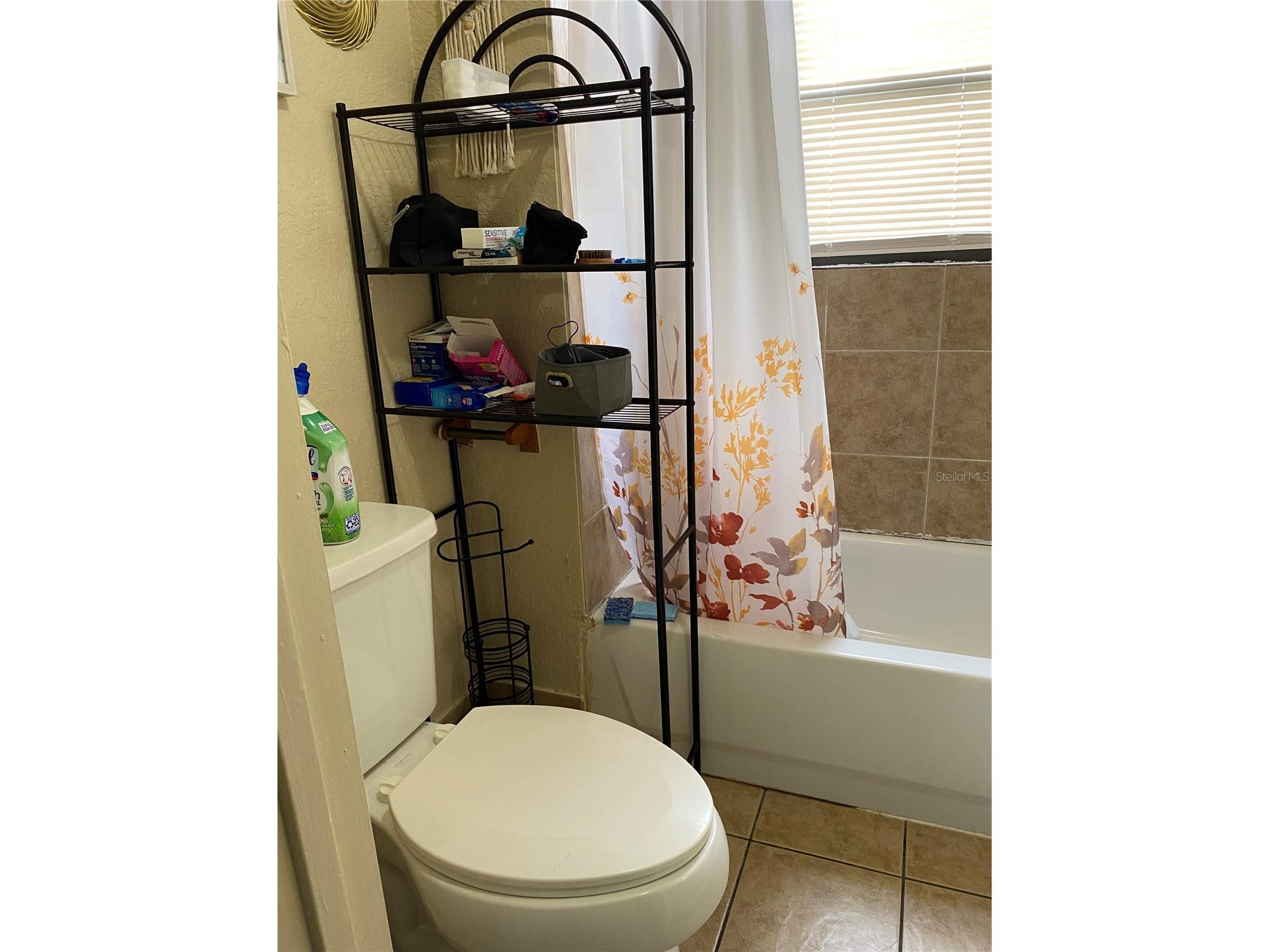 3016 Madelia Lane Kissimmee FL 34744 O6387128 image8