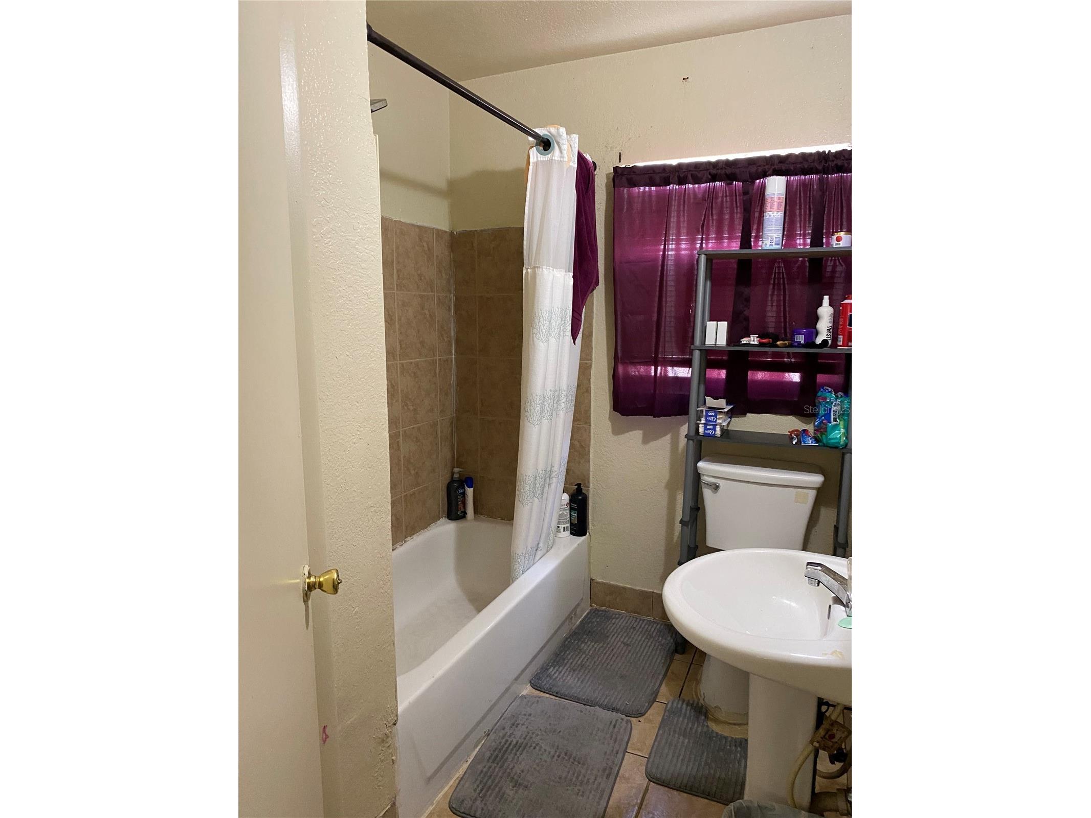 3016 Madelia Lane Kissimmee FL 34744 O6387128 image9