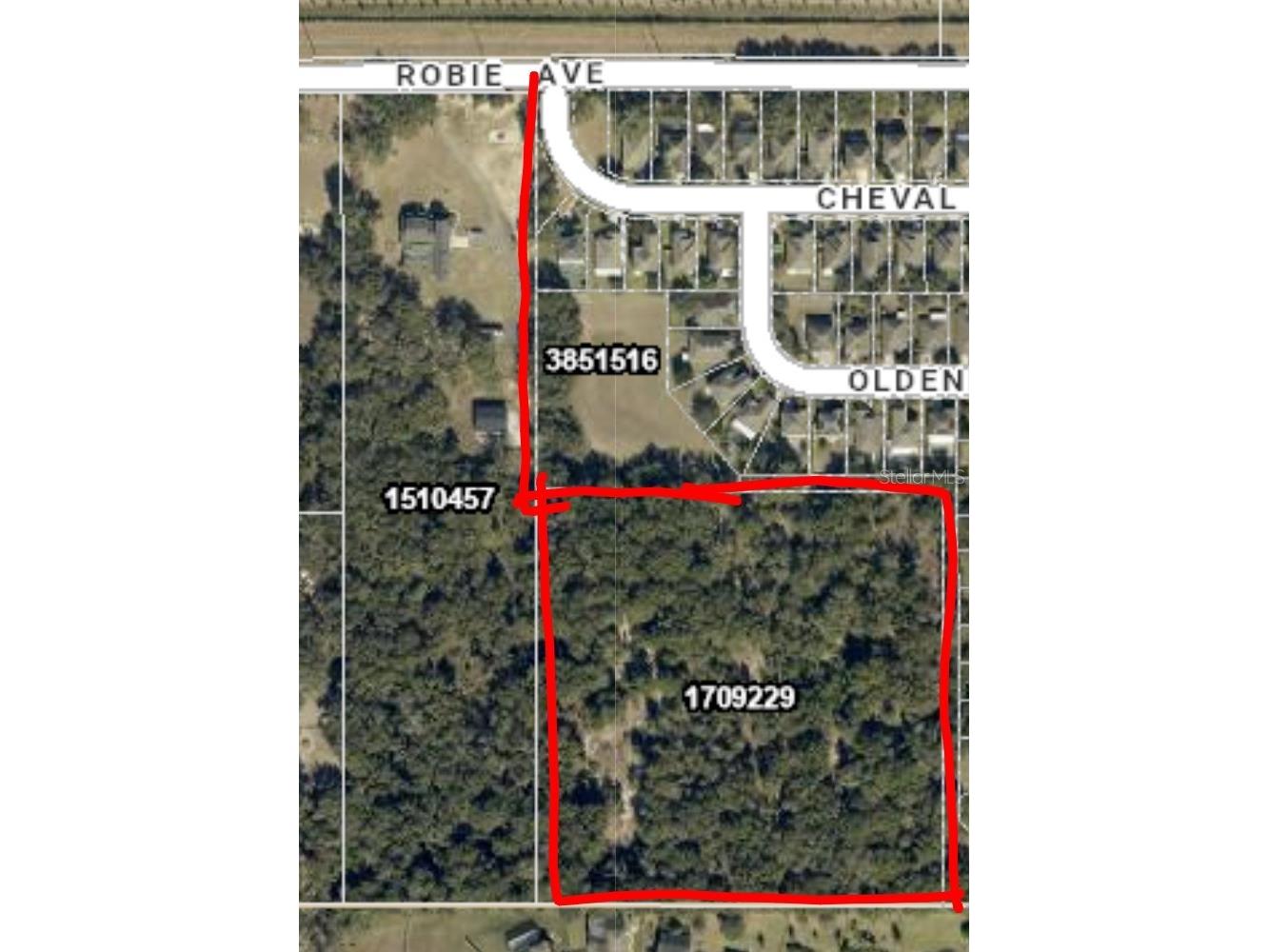 3016 Robie Avenue Mount Dora FL 32757 G5112941 image1