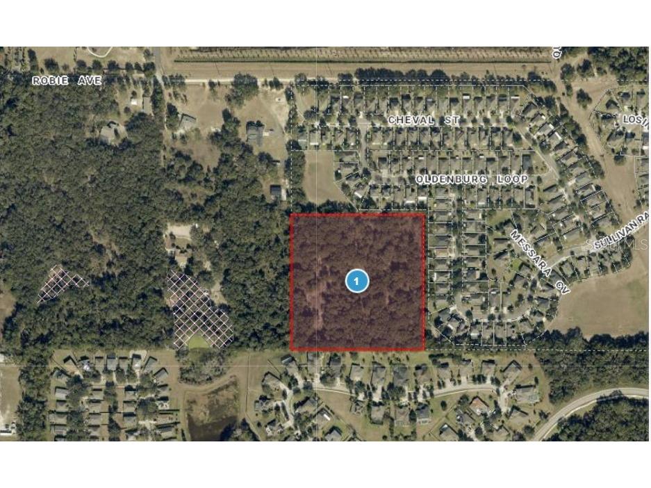 3016 Robie Avenue Mount Dora FL 32757 G5112941 image2