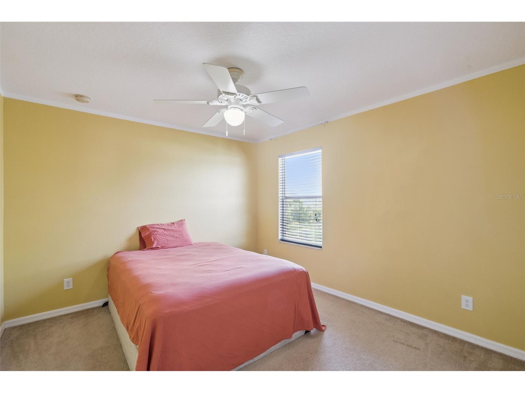 3016 Sunscape Terrace Groveland FL 34736 O6426873 image33