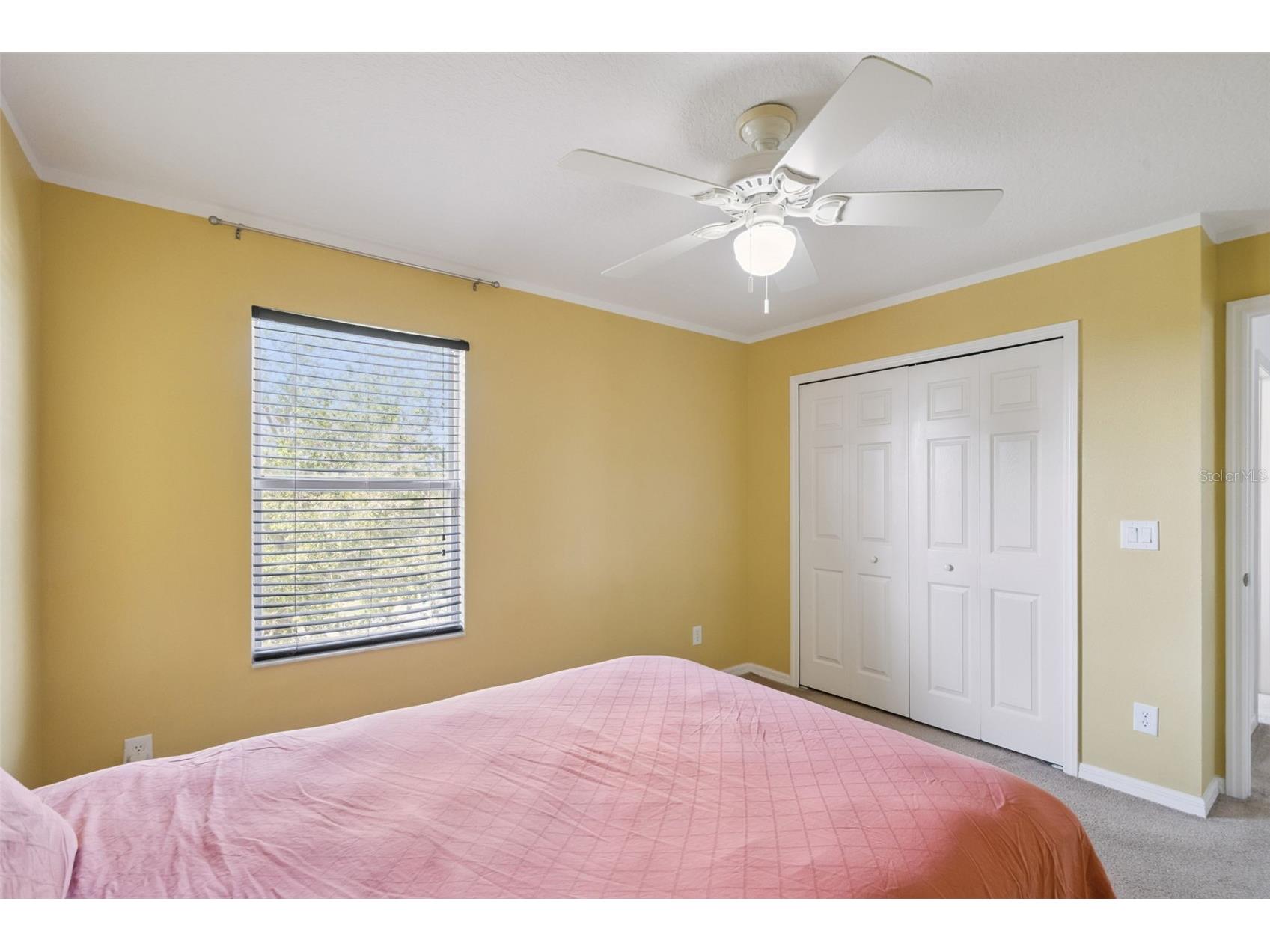 3016 Sunscape Terrace Groveland FL 34736 O6426873 image34