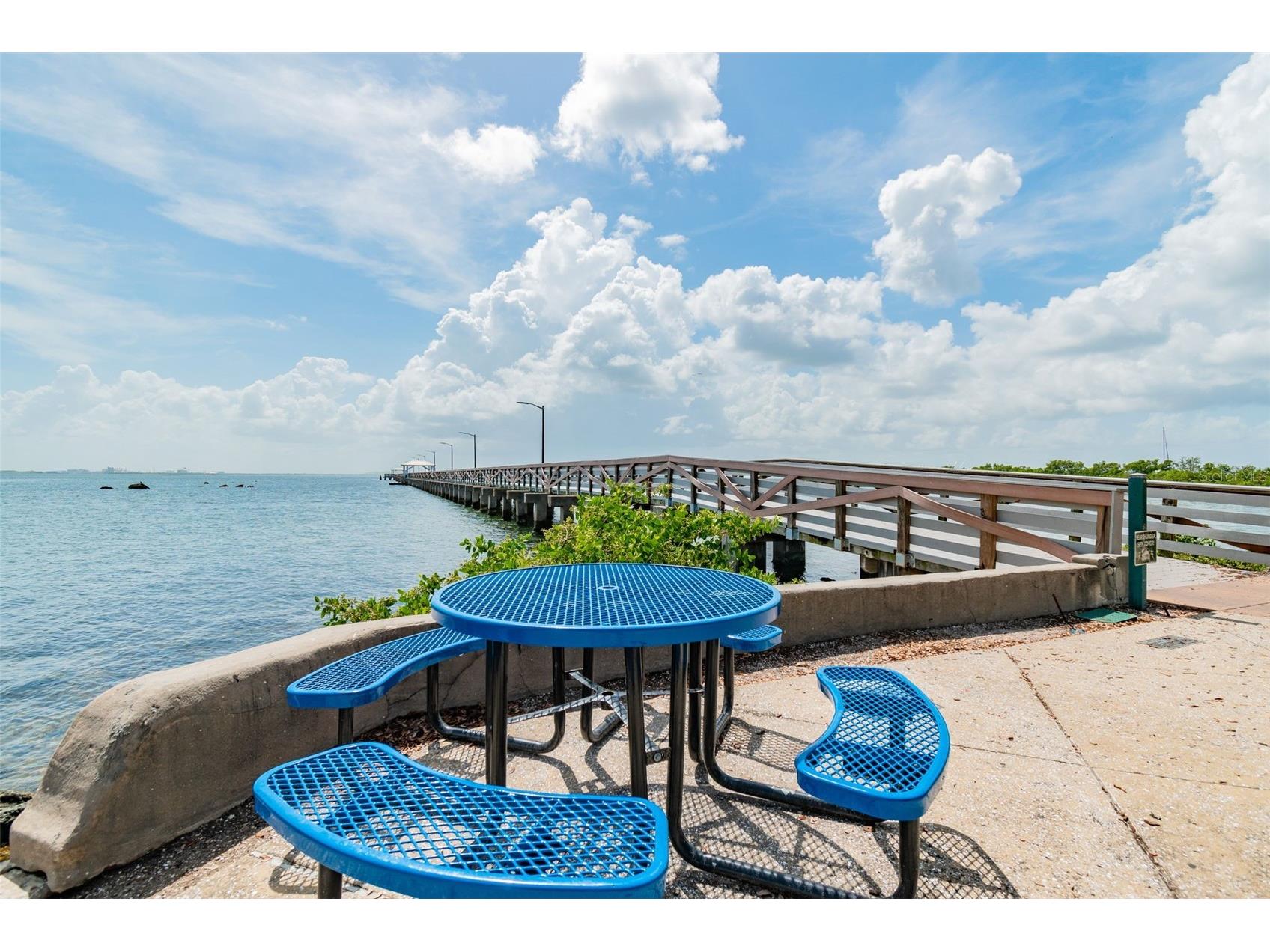 3016 W Ballast Point Boulevard Tampa FL 33611 TB8482965 image58