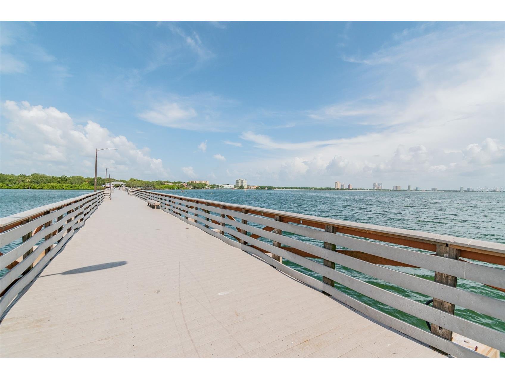 3016 W Ballast Point Boulevard Tampa FL 33611 TB8482965 image60