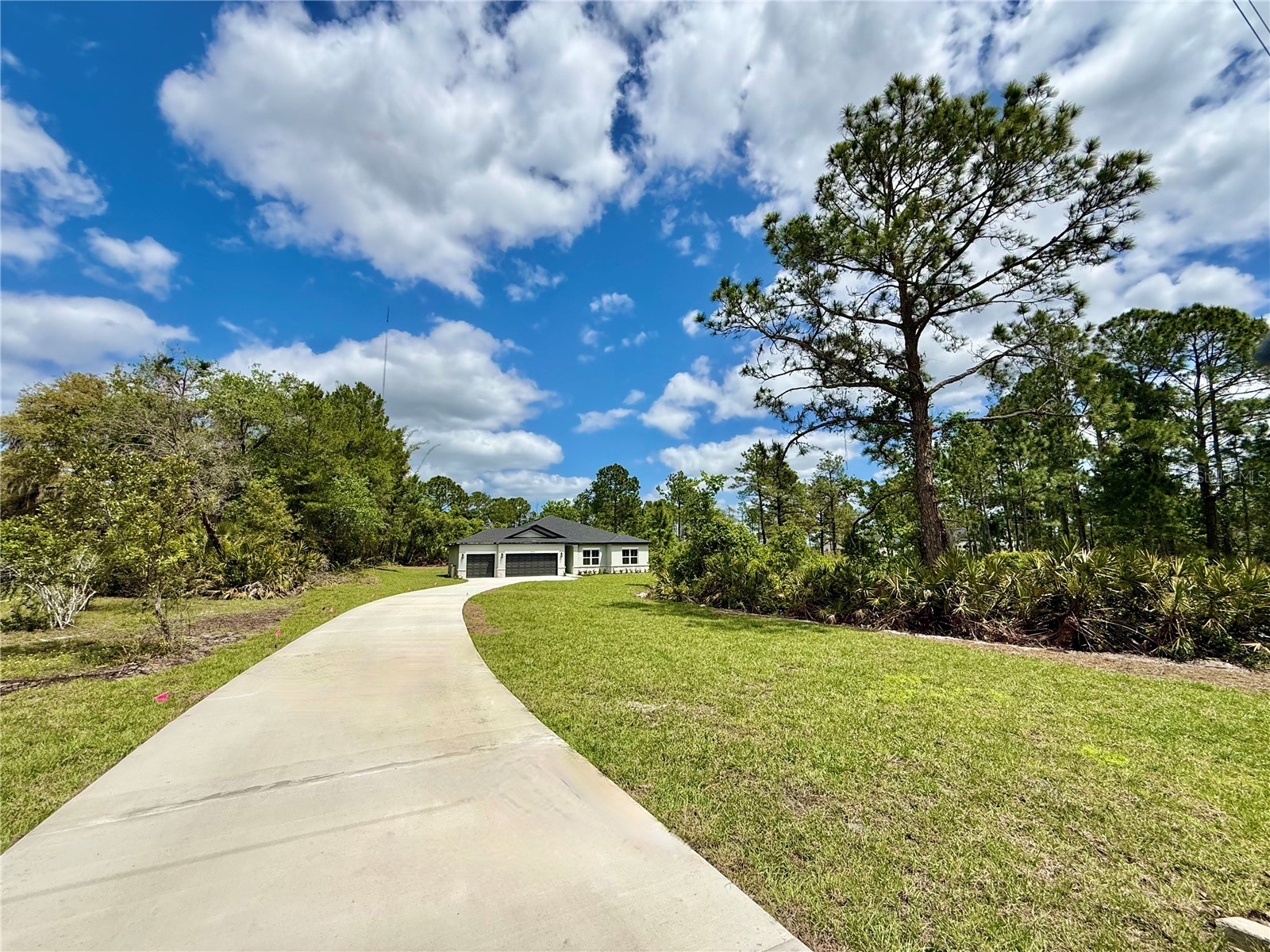 30165 W Bluebell Avenue Eustis FL 32736 - LAKE NORRIS G5110753 image3