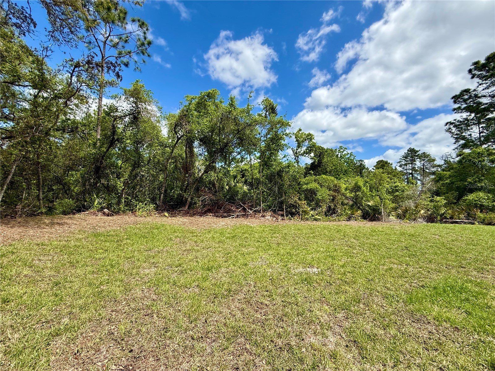 30165 W Bluebell Avenue Eustis FL 32736 - LAKE NORRIS G5110753 image32