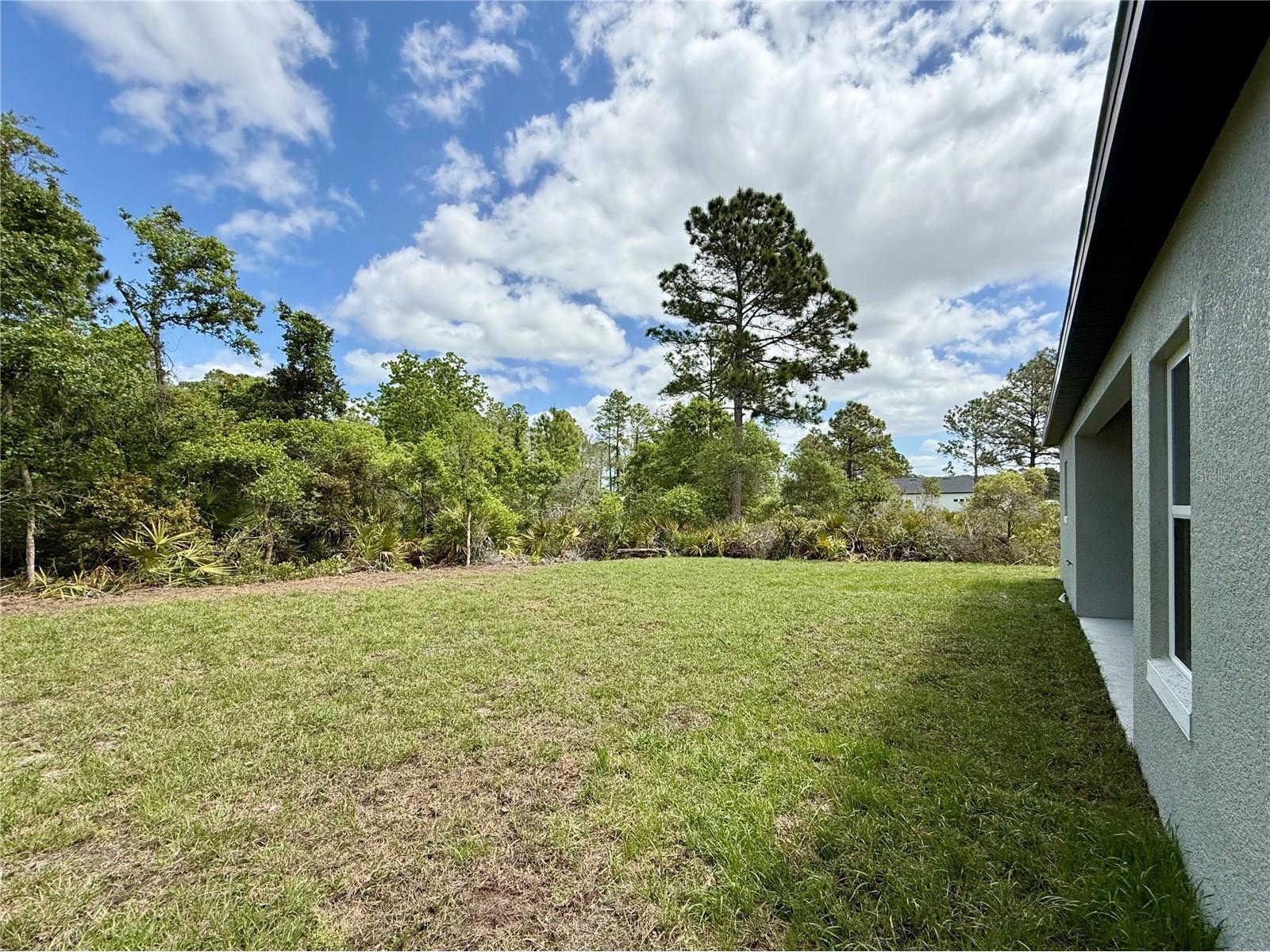 30165 W Bluebell Avenue Eustis FL 32736 - LAKE NORRIS G5110753 image33