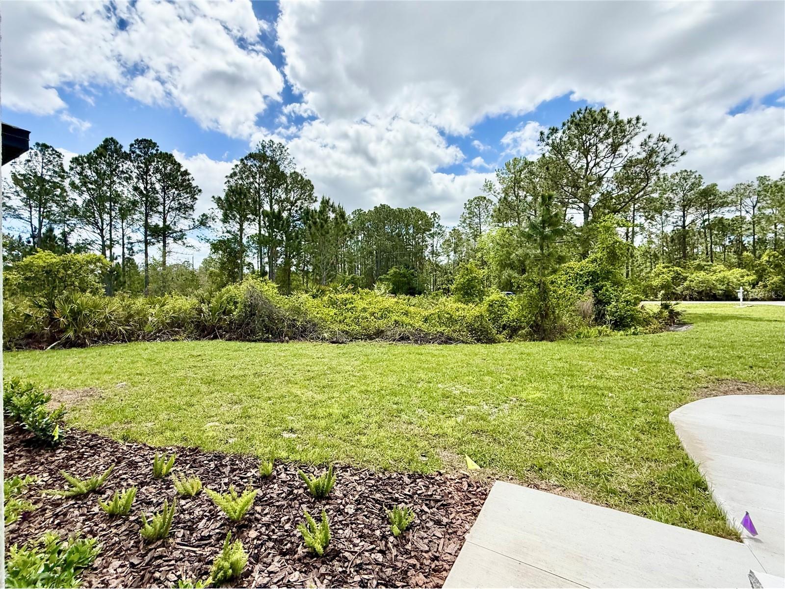 30165 W Bluebell Avenue Eustis FL 32736 - LAKE NORRIS G5110753 image35
