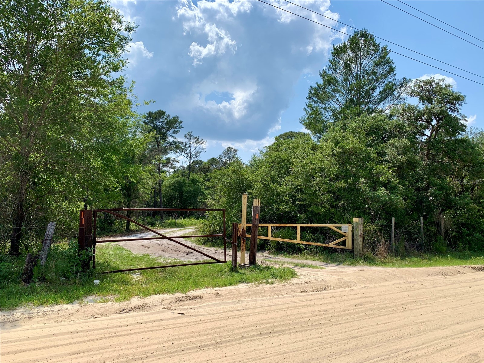 30165 W Bluebell Avenue Eustis FL 32736 - LAKE NORRIS G5110753 image41