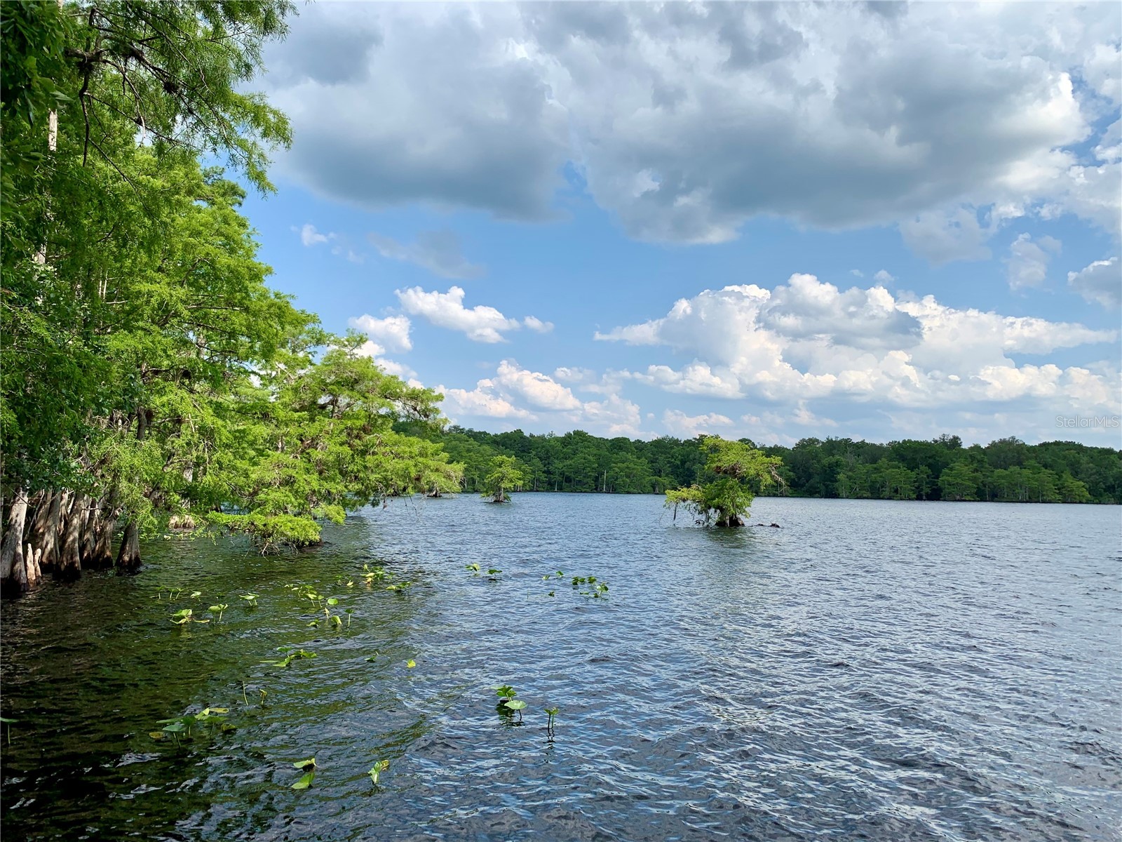 30165 W Bluebell Avenue Eustis FL 32736 - LAKE NORRIS G5110753 image46