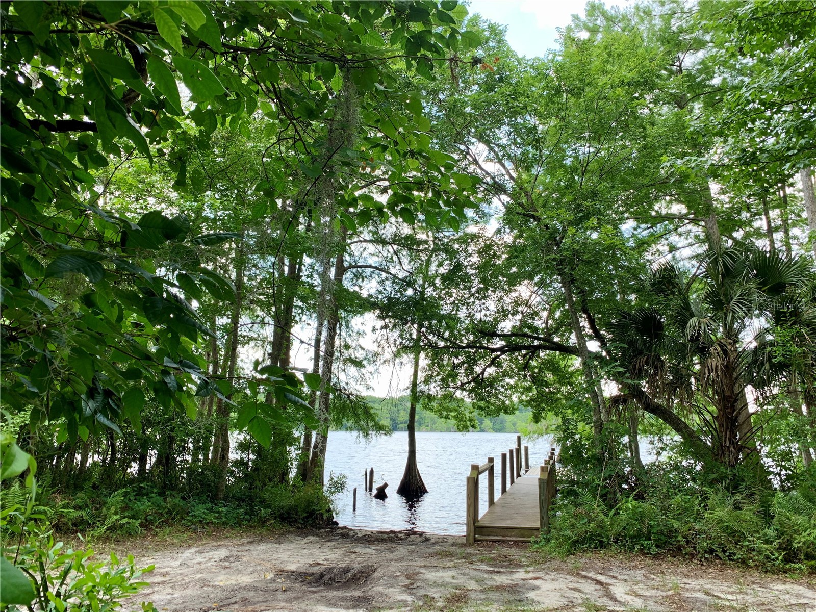 30165 W Bluebell Avenue Eustis FL 32736 - LAKE NORRIS G5110753 image48