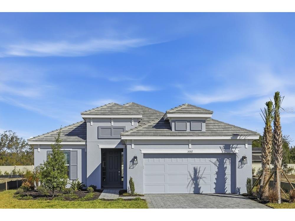 30167 Imperati Boulevard Wesley Chapel FL 33543 TB8471461 image1