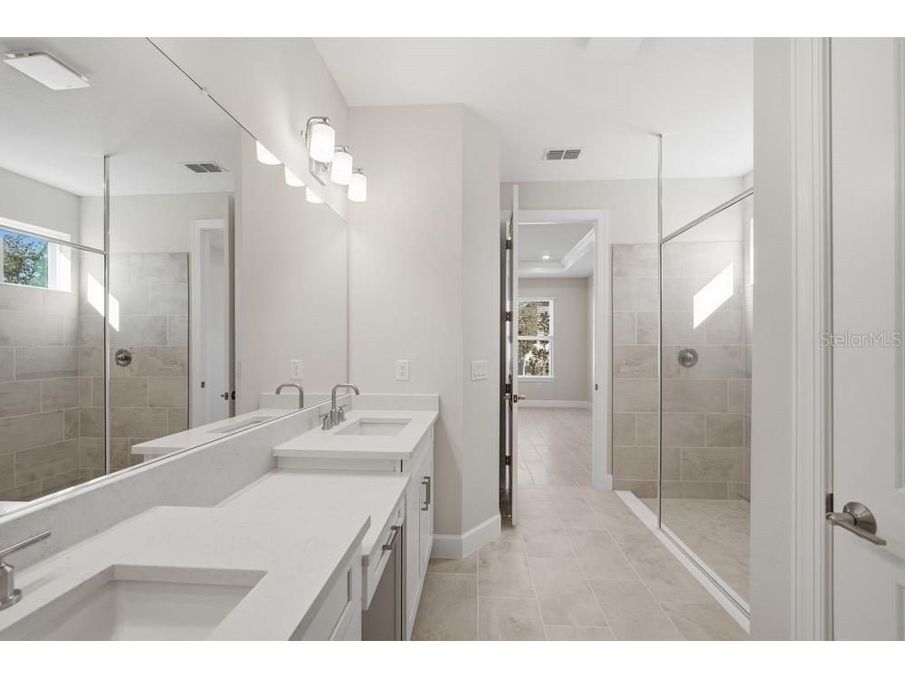 30167 Imperati Boulevard Wesley Chapel FL 33543 TB8471461 image11