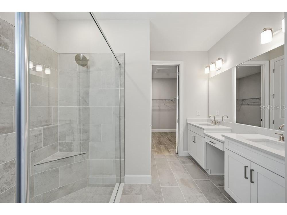 30167 Imperati Boulevard Wesley Chapel FL 33543 TB8471461 image12