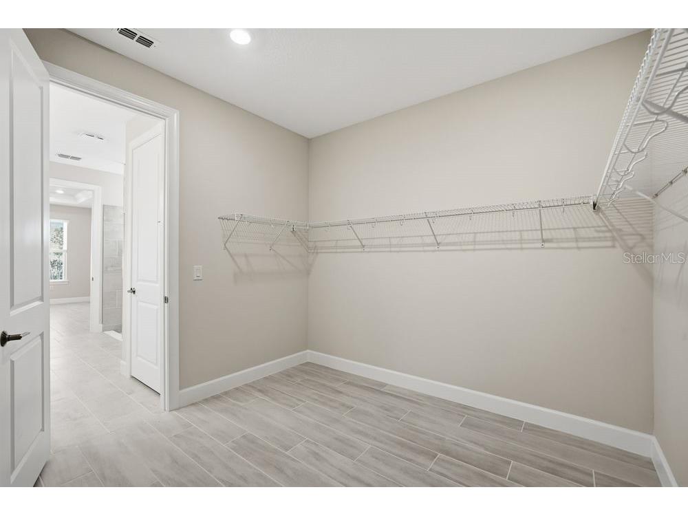 30167 Imperati Boulevard Wesley Chapel FL 33543 TB8471461 image13