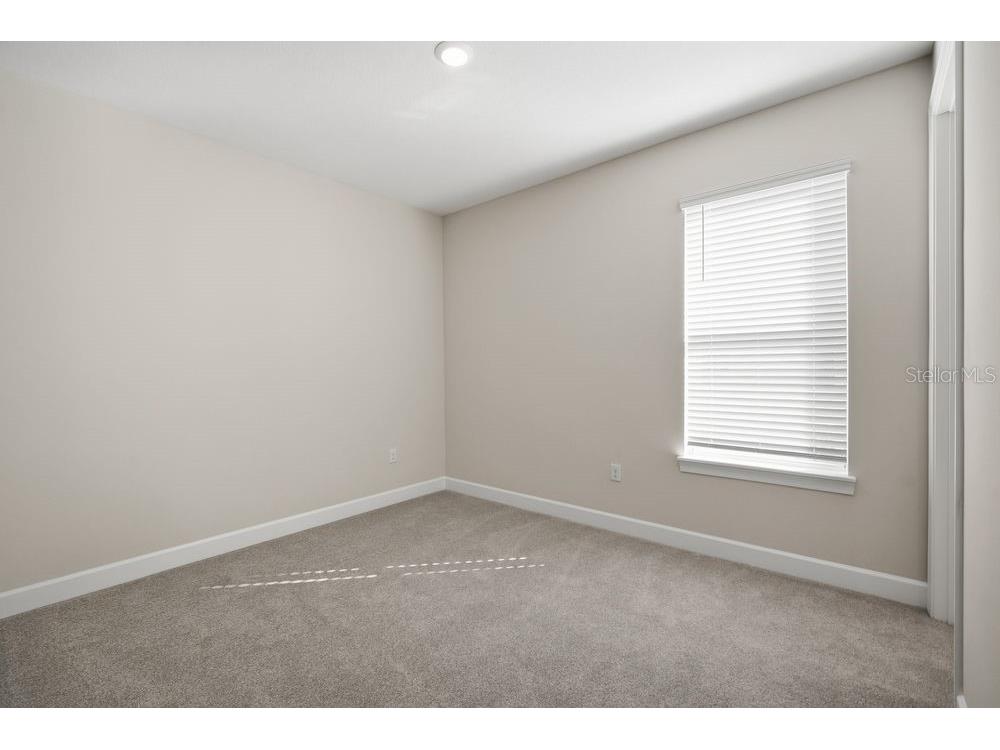 30167 Imperati Boulevard Wesley Chapel FL 33543 TB8471461 image14