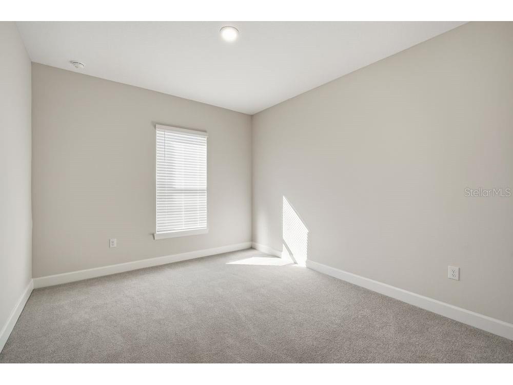 30167 Imperati Boulevard Wesley Chapel FL 33543 TB8471461 image15