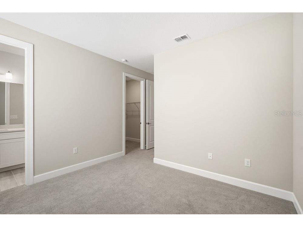 30167 Imperati Boulevard Wesley Chapel FL 33543 TB8471461 image16