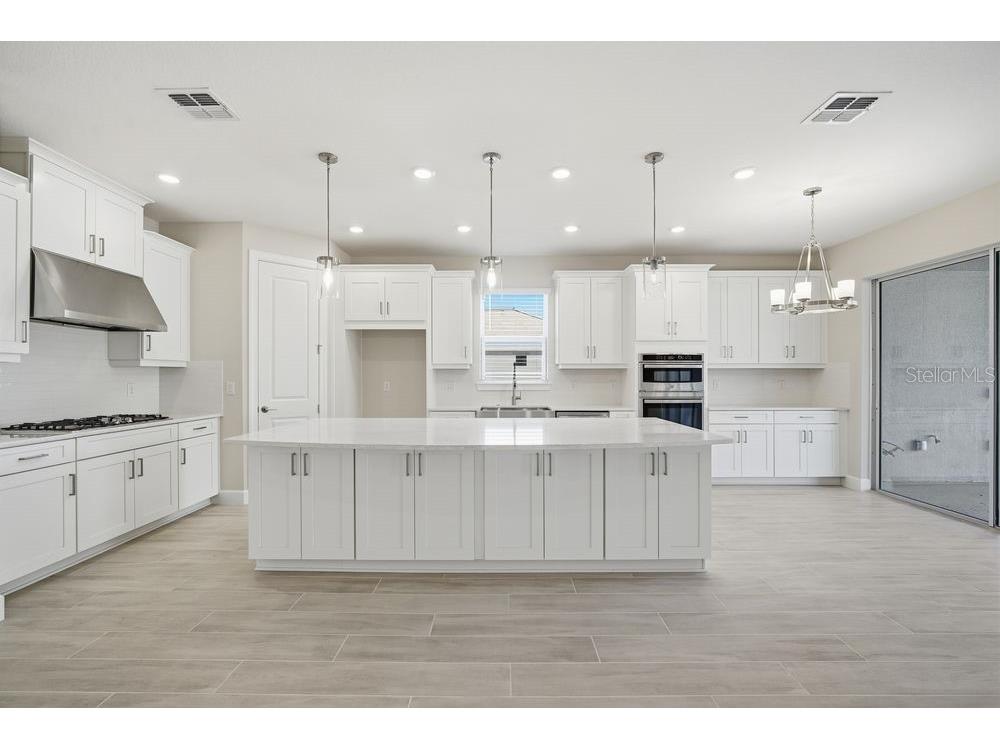 30167 Imperati Boulevard Wesley Chapel FL 33543 TB8471461 image2