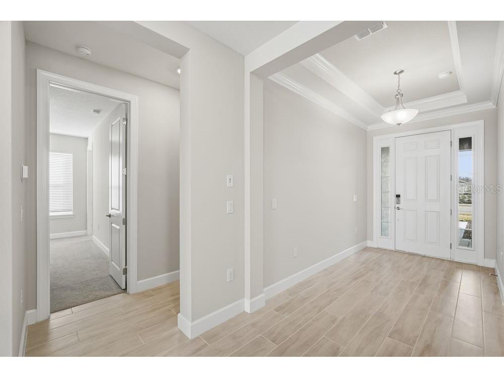 30167 Imperati Boulevard Wesley Chapel FL 33543 TB8471461 image20