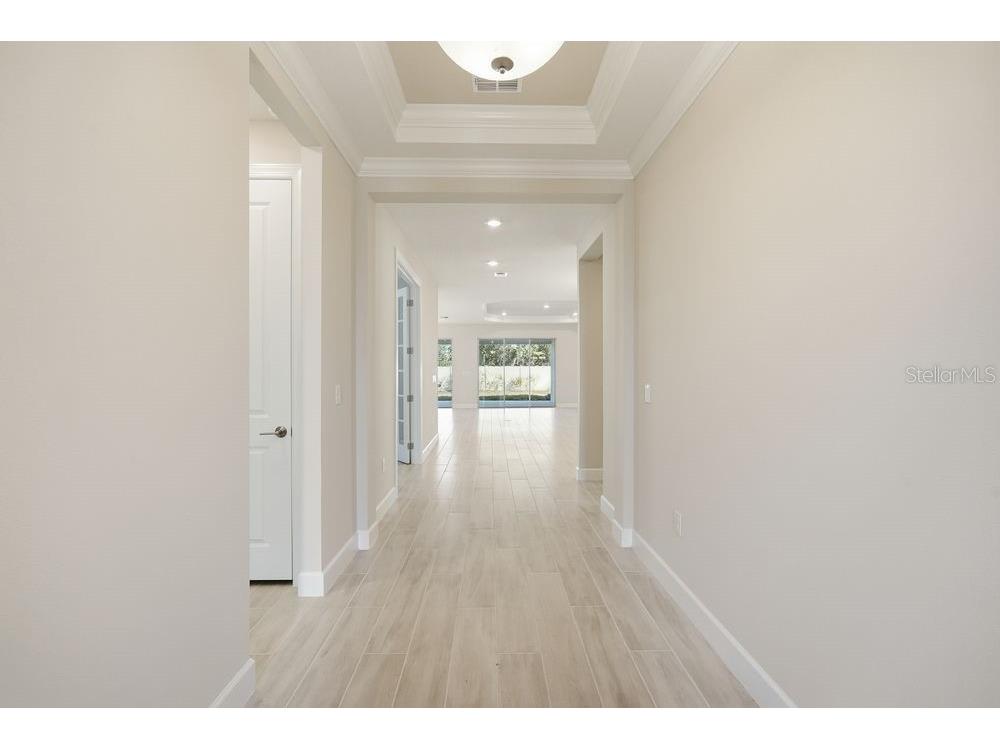 30167 Imperati Boulevard Wesley Chapel FL 33543 TB8471461 image21