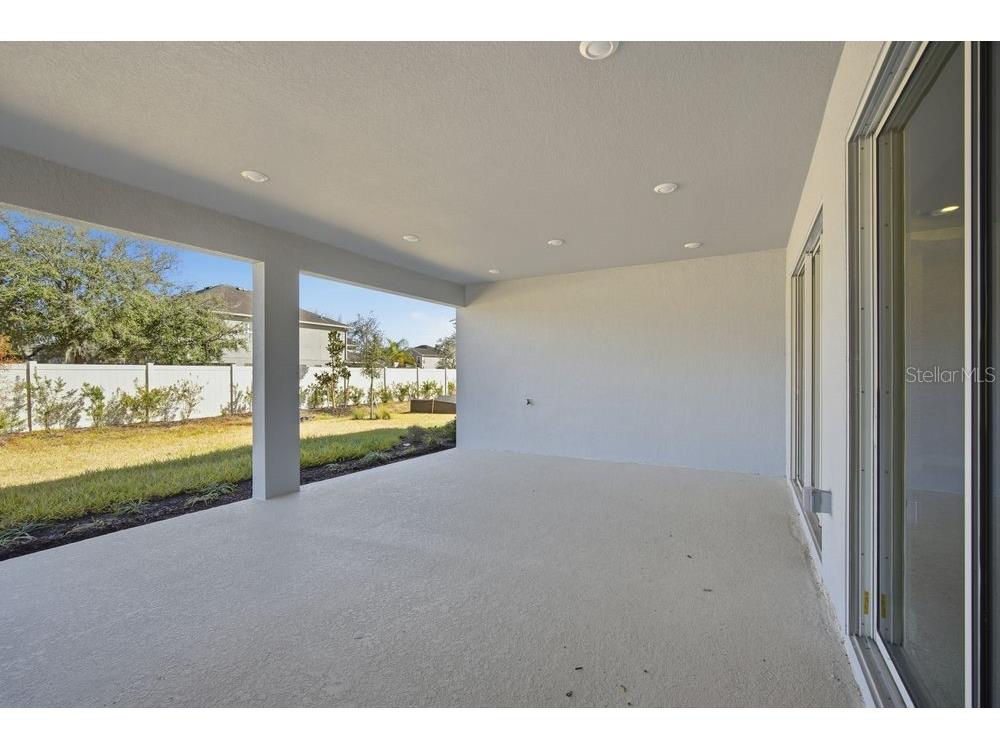 30167 Imperati Boulevard Wesley Chapel FL 33543 TB8471461 image26