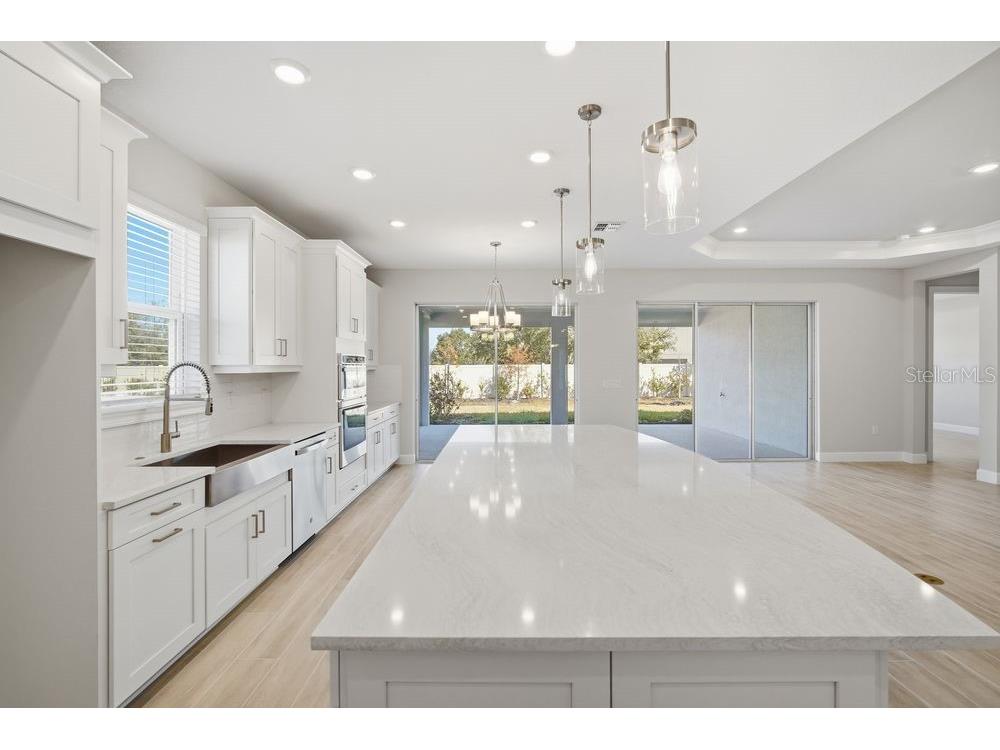 30167 Imperati Boulevard Wesley Chapel FL 33543 TB8471461 image3