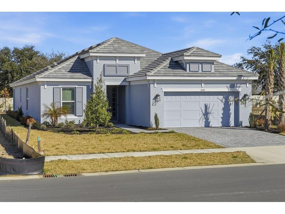 30167 Imperati Boulevard Wesley Chapel FL 33543 TB8471461 image30
