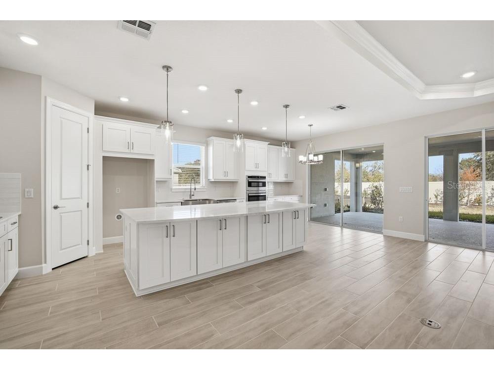 30167 Imperati Boulevard Wesley Chapel FL 33543 TB8471461 image4