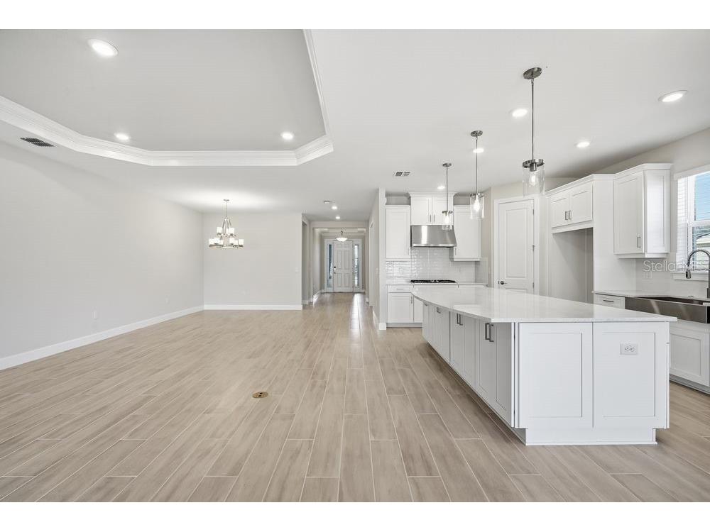 30167 Imperati Boulevard Wesley Chapel FL 33543 TB8471461 image5