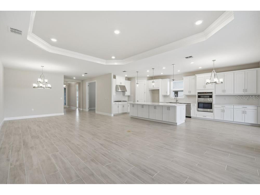 30167 Imperati Boulevard Wesley Chapel FL 33543 TB8471461 image7