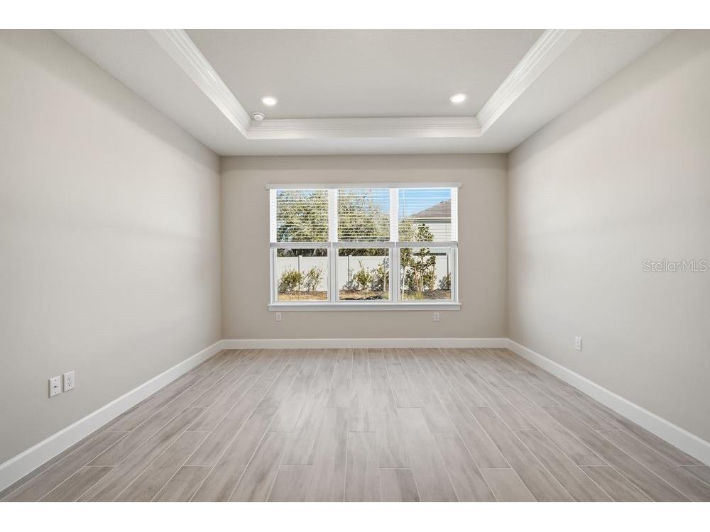 30167 Imperati Boulevard Wesley Chapel FL 33543 TB8471461 image9