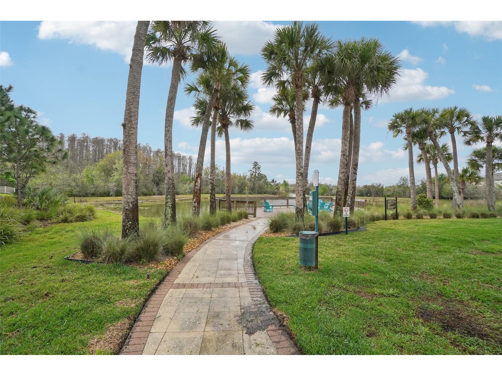 30167 Southwell Lane Wesley Chapel FL 33543 TB8486767 image38