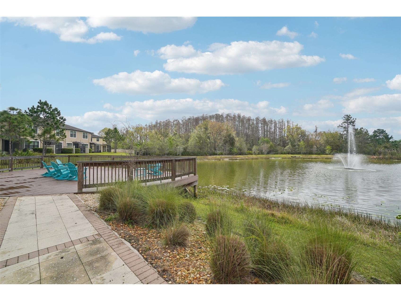 30167 Southwell Lane Wesley Chapel FL 33543 TB8486767 image40