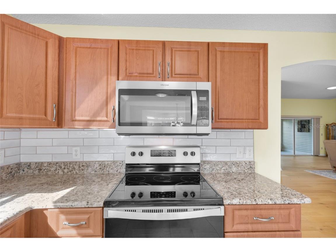 3017 Batally Court The Villages FL 32162 G5106299 image19