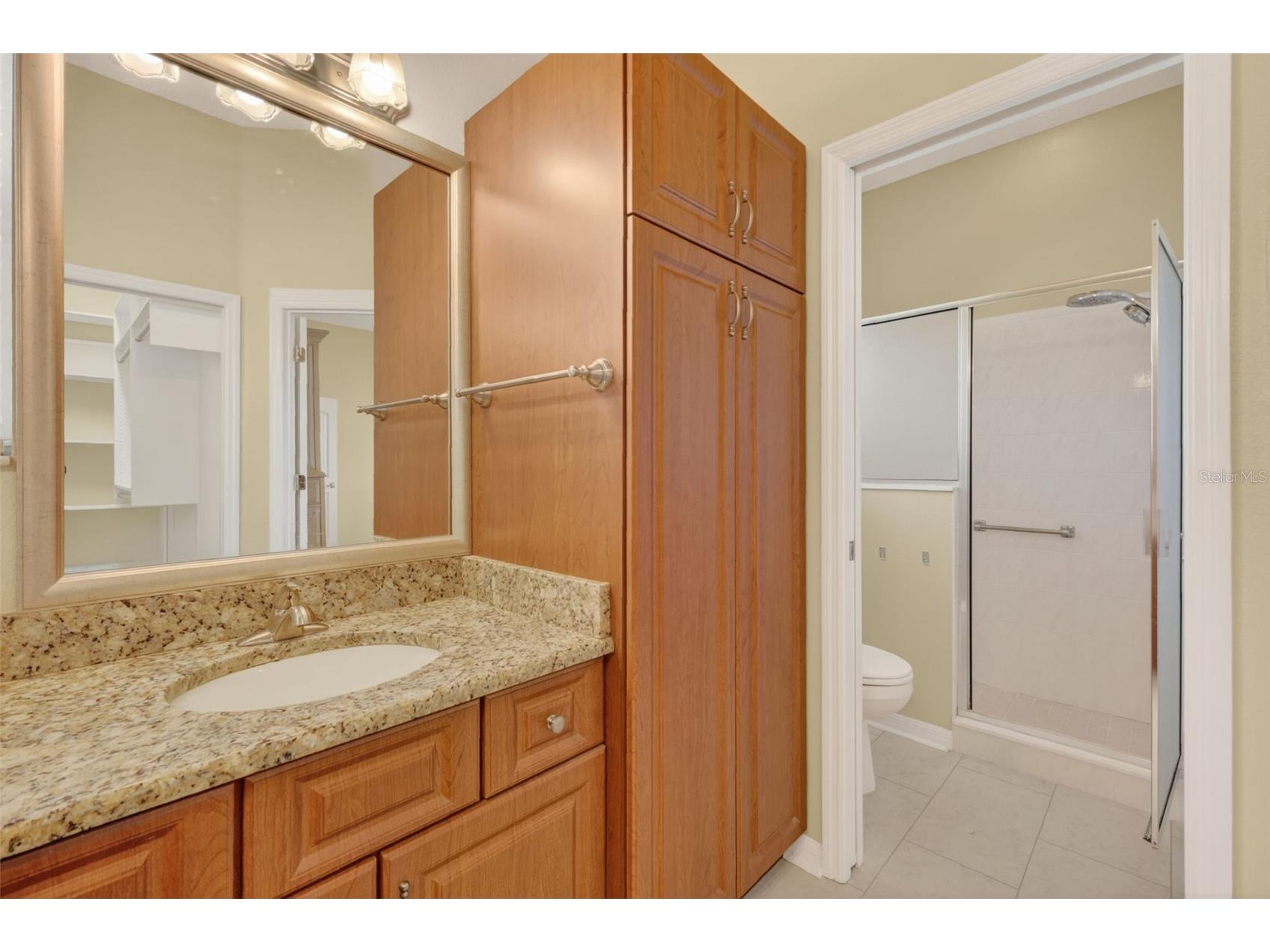 3017 Batally Court The Villages FL 32162 G5111846 image21