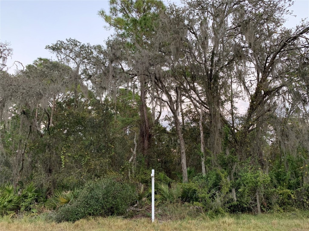 3017 Jack Avenue Lake Placid FL 33852 O6151401 image1