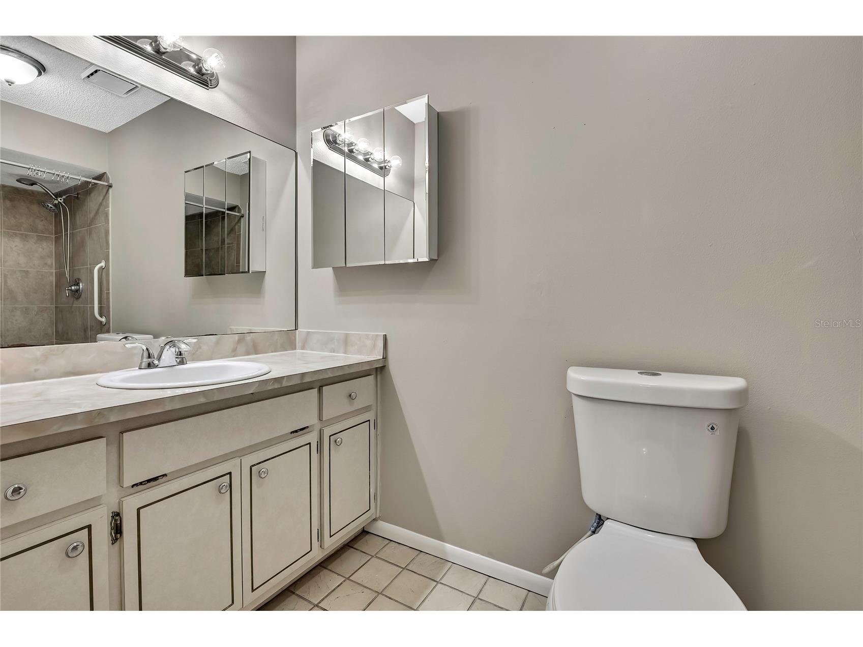 3017 Lema Drive Spring Hill FL 34609 TB8493319 image24