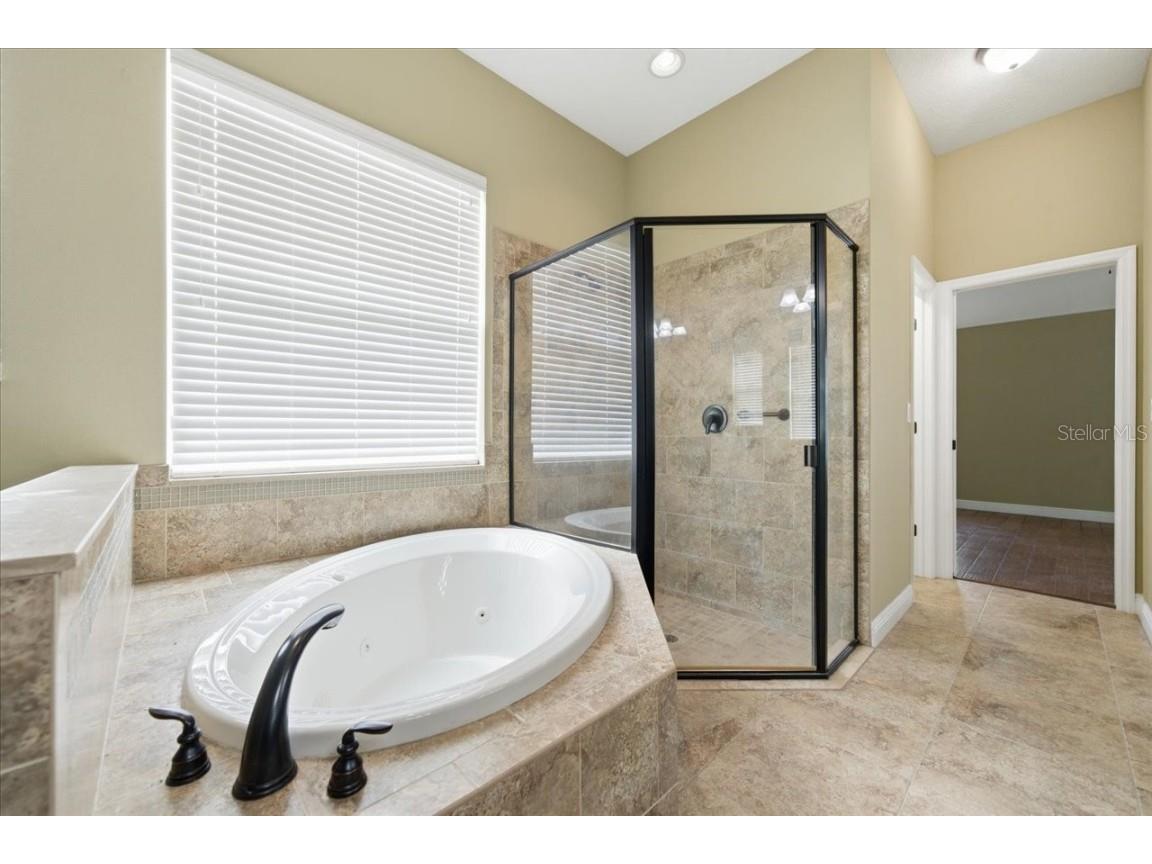 3017 Via Siena Street Plant City FL 33566 TB8452683 image24